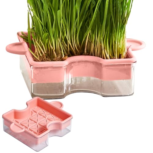 Foeirp Indoor Cat Grass Planter | Cat Grass Hydroponics Box | Puzzle Design Double Layer Planter Box | Hydroponic Soilless Cat Grass Tray for Home, Pet Stores, and Cattery Use von Foeirp