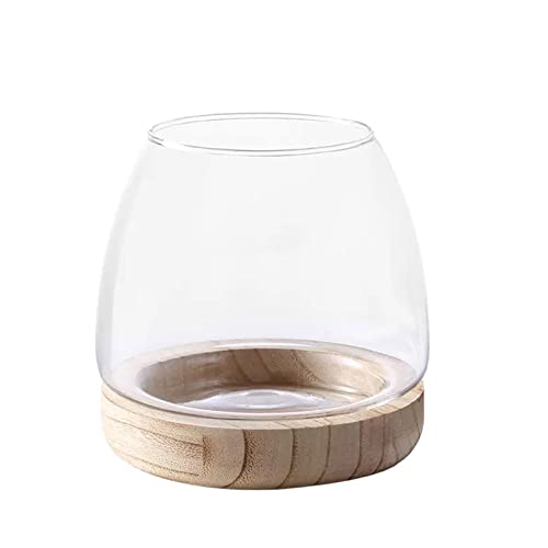 Fofetbfo Glas-Hydrokultur-Pflanzenterrarium Einzigartige Fischschale Aquarium mit Holzsockel Klarglas Aquarium Fischschale Vase für Pflanze und Betta-Fisch von Fofetbfo