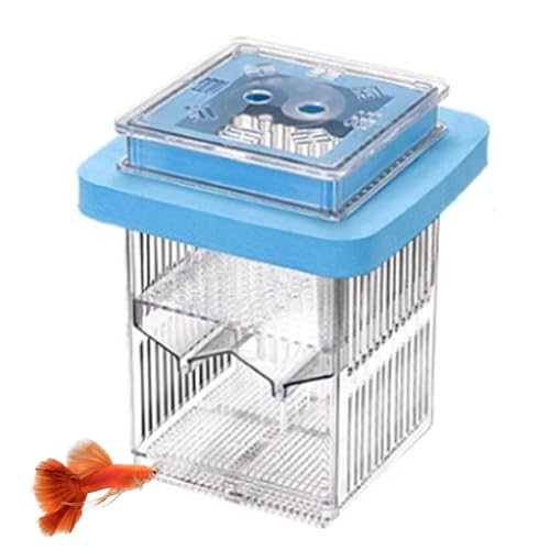 Fogukier Schwimmende Fischzüchtung Isolation Box, Fischschlüpfkasten - Schwimmende Aquarium -Brüterei Box,Clear Aquatic Life Incubator Isolation Box für Betta von Fogukier