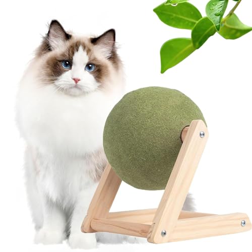 Fokayo Riesiger Katzenminze-Ball mit Holzständer, Katzenminze-Bodenballspielzeug, drehbare Katzenminze-Rollerball-Bodenhalterung, interaktives Katzenminze-Spielzeug zum Spielen mit Kätzchen (12CM) von Fokayo