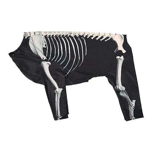 Folpus Halloween-Skelett-Hundekostüm, Halloween-Haustierkostüm, Kleidung, Overall, Dekoration, Foto-Requisiten, Bekleidung, Cosplay-Outfit für Festival, Partys, 2XL von Folpus