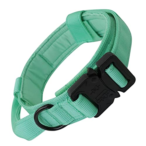 Folpus Hundehalsband mit praktischem Griff, Nylon-Trainingszubehör für mittelgroße Hunde, Outdoor-Einsatz, M Grün von Folpus