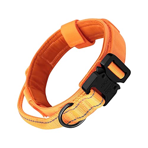 Folpus Hundehalsband mit praktischem Griff, Sicherheitsverschluss für Hunde Aller Größen, Orange von Folpus