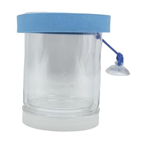 Folpus Schwimmende Fischisolation Box Schluckkasten Laichbox kultivieren Behälter Aquarium Züchter transparent für Babyfische, Groß Blau von Folpus