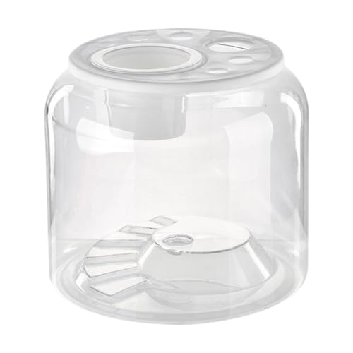 Folpus Turtle Container Aquarium Tisch Herzstück Mode DIY Micro Landschaft Wohnzimmer Display Tank für Hotel Bauernhaus Haus zu Hause, L mit Deckel von Folpus