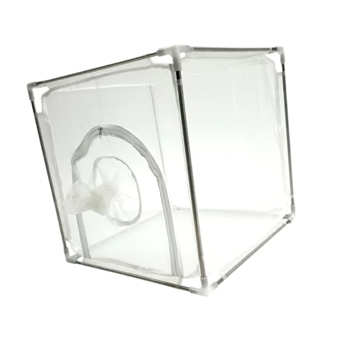 Fonowx Schmetterlingslebensraum Cage Atmungsfreie Edelstahlhalter Fonowx Schmetterlingslebensraum Cage Atmungsfreie Edelstahlhalter von Fonowx