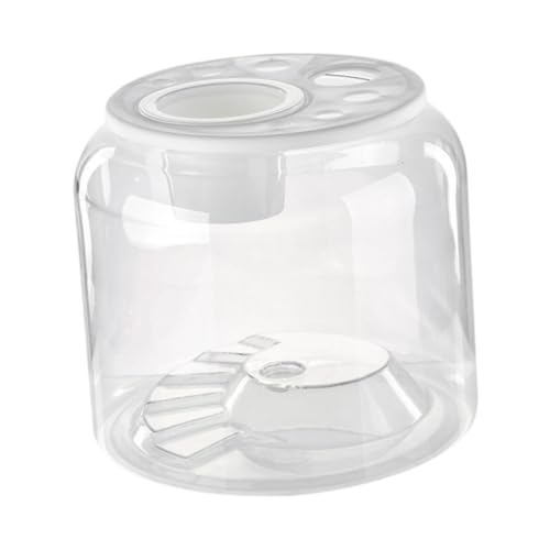 Fonowx Turtle Container Wasser Aquarium Mode vielseitiger Schreibtisch DIY Micro Landschaft Reptilien Lebensraum für Wohnung Wohnzimmer, L with Lid Fonowx Turtle Container Wasser Aquarium Mode vielseitiger Schreibtisch DIY Micro Landschaft Reptilien Lebensraum für Wohnung Wohnzimmer, L with Lid von Fonowx