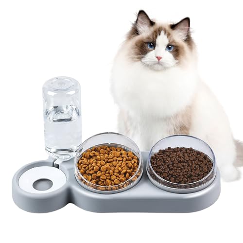 Erhöhter Katzen Futternapf Set mit Automatischer Wasserflasche – 15° Neigbarer Doppelter Futternapf für Nass- und Trockenfutter, Ideal für Kleine und Mittelgroße Katzen und Hunde (Grau) von FontFable