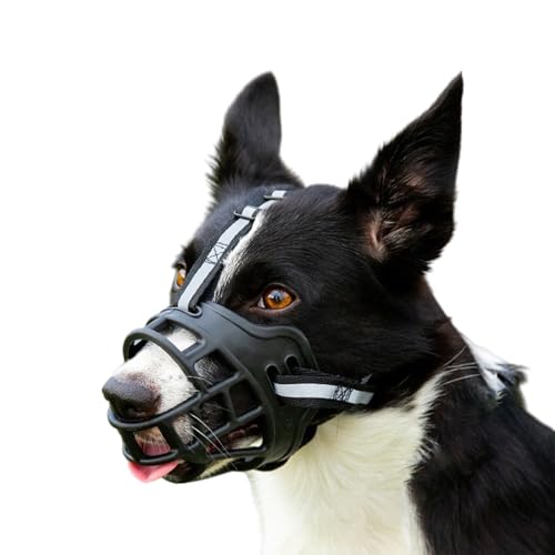 Maulkorb FüR Hunde,Atmungsaktive Gesichtsmaske FüR Hunde,Hundemaulkorb Aus Kunststoff,Verstellbarer Schlaufe,Komfortabel Und Weich,Resistent Gegen Abrieb,Verhindert BeißEn,Bellen Und Kauen von ForceRoute