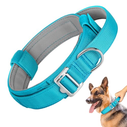 Forestpaw Leichtes taktisches Hundehalsband, Nylon, Militär-Hundehalsband mit weich gepolstertem Griff, verstellbares Hundehalsband für mittelgroße und große Hunde, Training, Spazierengehen, Blau, von Forestpaw