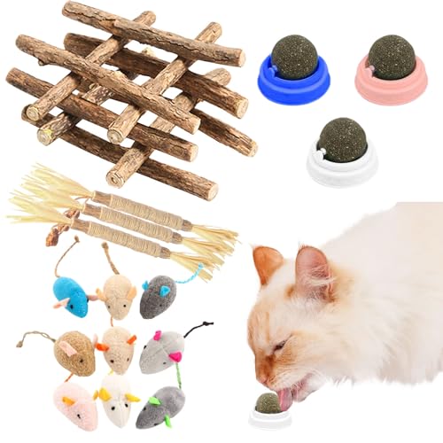 Forhandy Matatabi Stick Katze Set 25pcs, 10 Katzenminze Stick, 9 Katzenspielzeug Maus, 3 Catnip Ball, 3 Kausticks für Katzen Zahnpflege, Katzenminze Spielzeug Gegen Katzen Mundgeruch von Forhandy