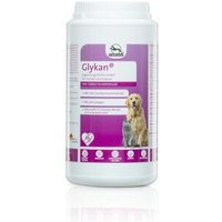 Fortan Glykan Pulver mit Grünlippmuschel 1,2 kg von Fortan