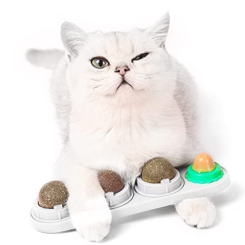 Fortune-star Wandbälle mit Katzenminze, Katzenspielzeug, essbar, Leckbälle, Snack, natürlich, gesund, drehbar, für Kätzchen, Spielen, Kauen und Putzen von Fortune-star