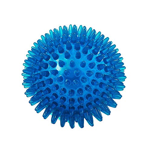 ForuMall Hundespielzeug Quietschball mit Noppen, Quietschball mit hoher Sprungkraft, 9 cm von ForuMall