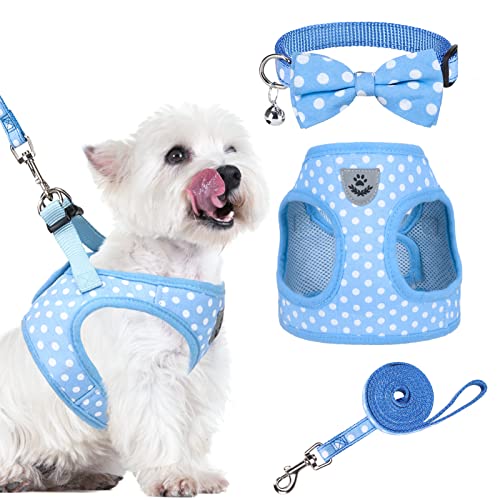 Forwadog Hundeweste Geschirre, Hundefliege Halsband und Leine, Polka Dot Hundegeschirr mit Reflektierenden für kleine und mittelgroße Hunde, Blau Atmungsaktive Mesh Hundegeschirre für den Sommer von Forwardog