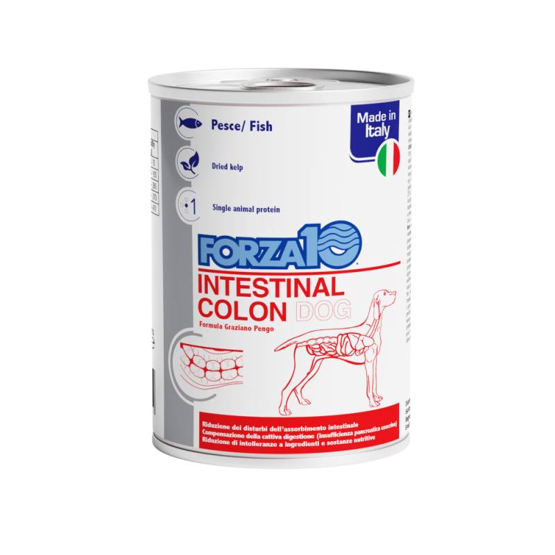 Forza10 Actiwet Intestinal Colon Nassfutter für Hunde - 12 x 390 g von Forza10 Active Line Dog