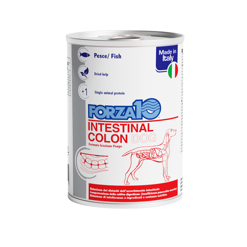 Forza10 Actiwet Intestinal Colon Nassfutter für Hunde - 24 x 390 g von Forza10 Active Line Dog