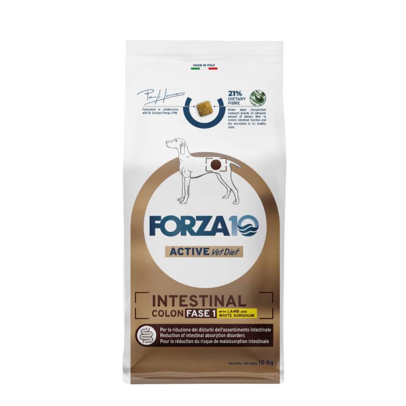 Forza 10 Intestinal Colon Phase 1 mit Lamm - Sparpaket: 2 x 10 kg von Forza10 Active Line Dog