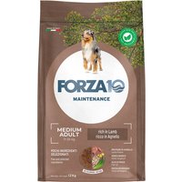 Forza 10 Medium Maintenance Lamm & Reis - 12 kg von Forza10 Maintenance Dog