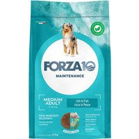 Forza 10 Medium Maintenance mit Fisch - 12 kg von Forza10 Maintenance Dog