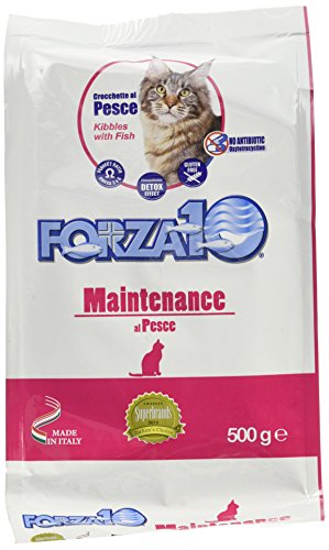 FORZA F10 Katze crocc.Aufbewahrung GR500 von Forza10