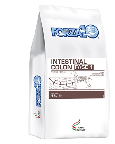 Forza10 Intestinal Colon Phase I Trockenfutter für Hunden mit Magenschleimhautentzündung, 1er Pack (1 x 4 kg) von Forza10