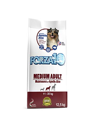 Forza10 Medium Erwachsene Lamm und Reis 12,5 kg. von Forza10