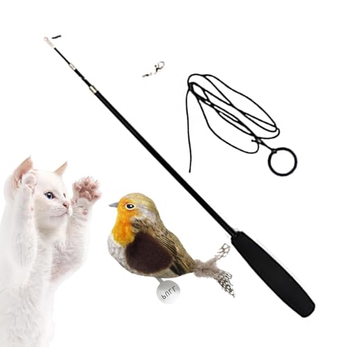 Fovolat Katzenstab-Teaser-Schnurspielzeug | Vogelfederspielzeug für Katzen – wiederverwendbarer Katzen-Teaser Zauberstab, Indoor-Katzenfeder-Spielzeug für Kätzchen und Welpen von Fovolat