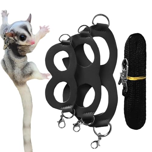 Walking Hamster Rope | Outdoor Sugar Glider Walking Rope - Sugar Glider Harness and Rope Set, Pet Traction Rope for Sugar Glider, Squirrel, Hamster, Reptil, Chinchilla von Fovolat