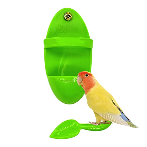 Fowybe Sepiahalter für Vogelkäfig - Cuttlebone Vogelkäfig Zubehör Futternapf - Cuddle Bone Cage Zubehör Barches Supplies Bird Treat Halter für Vögel Nymphensittich Conure Lovebird Finken von Fowybe