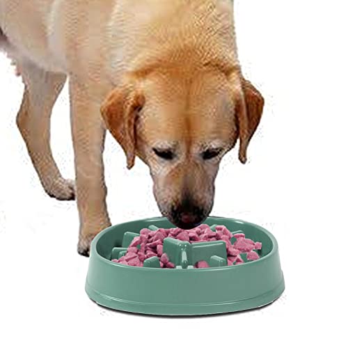 Fowybe Slow Feeder Schüssel - Hundefutternapf Slow Food Napf Hund - Slow Feeder Hundefutternapf Hundefütterungspuzzle Anti-Schluck Langsam fressender Hundenapf für schnelle Esser von Fowybe