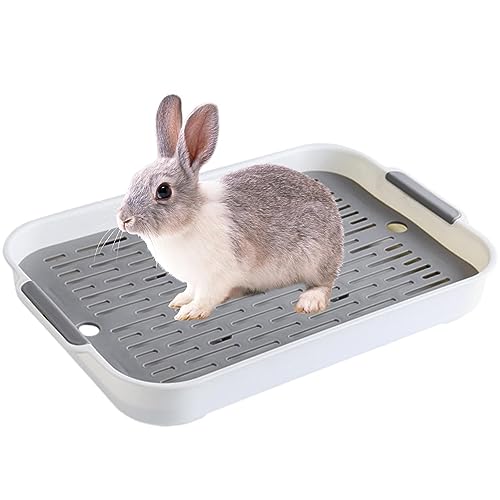 Kaninchentoilette, Haustier-Toiletten-Töpfchentablett mit Drainage, Haustier-Toilettentopf für Chinchillas, Hasen, Katzen, Meerschweinchen, Kätzchen und andere Kleintiere Fowybe von Fowybe