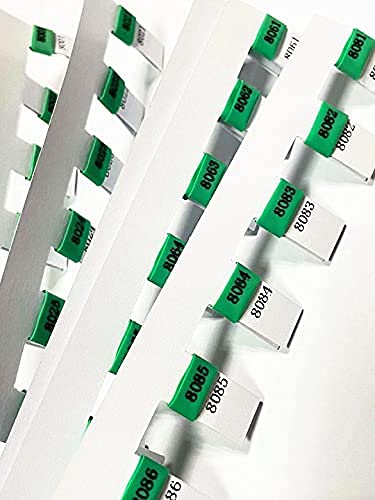 100 Stück Farben Renntaubenring aus robustem Material Gummibänder für Renntauben bunt nummeriert (grün) von Fpigeon
