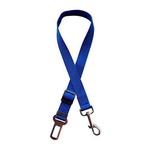 Seil Haustier Haustier liefert Hundekatze Auto Sitzgürtel Bleileine Nylon Sterbar for Pitbull Welpen Kätzchen Katze Teddy Pet Zubehör Reiseclip Haustierleine Mit (Color : Blue, Size : 45-72cm Width von FrEshn