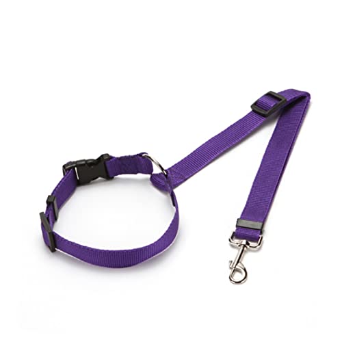 Seil Haustier Universal Praktische Hundekatze Haustier Sicherheitsgurt Verstellbarer Auto Sicherheitsgurt Kabelbaum Leine Reise Clip Strap Blei Pet Auto Sicherheitsgurt Haustierleine Mit (Size : Purp von FrEshn