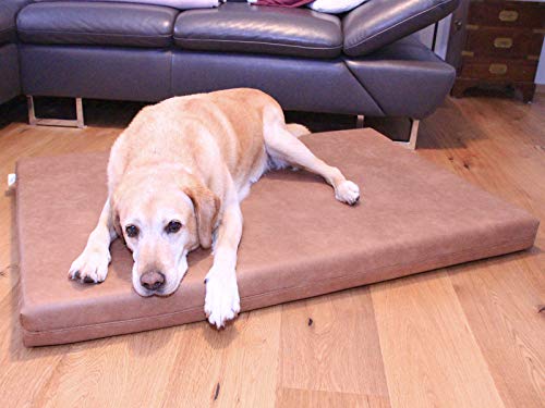 Fränkische Schlafmanufaktur Orthopädische Duo Hundematratze, Hundebett aus Visco - Schaumstoff Basis Größe 60x80, Farbe Dunkelbraun von Fränkische Schlafmanufaktur