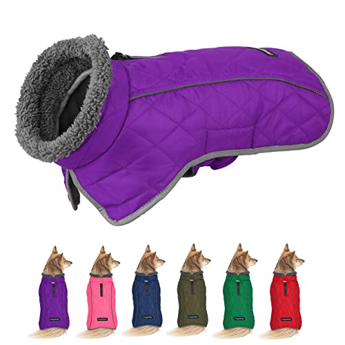 Fragralley Hunde-Wintermantel, Jacke – Reflektierend, verstellbar, winddicht, Hunde-Rollkragen-Kleidung, Welpen-Schneemantel für kleine, mittelgroße und große Hunde (Violett-3XL) von Fragralley