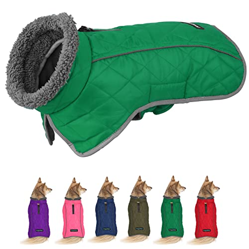 Fragralley Hunde-Wintermantel, reflektierend, verstellbar, winddicht, Rollkragen-Kleidung, Hunde-Weste, warmes Fleece-Futter, Welpen-Schneemantel für kleine, mittelgroße und große Hunde (Grün-3XL) von Fragralley