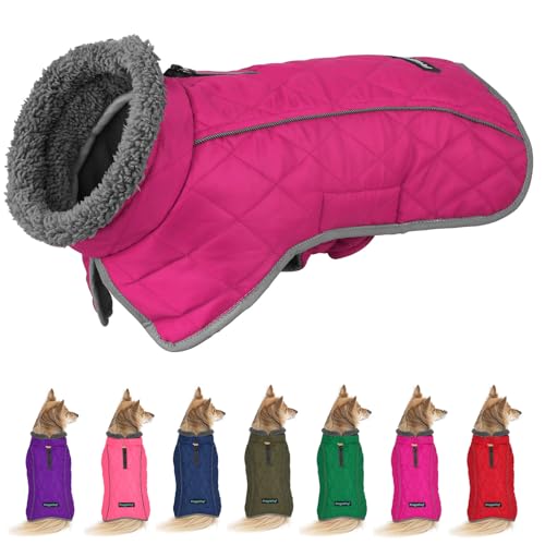 Fragralley Hunde-Wintermantel Jacke - Reflektierend, verstellbar, winddicht, Hunde-Rollkragenkleidung, Hundeweste für kaltes Wetter, warmes Fleecefutter, Welpenschneemantel für kleine, mittelgroße und von Fragralley