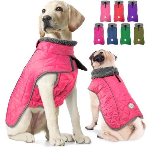 Fragralley Hundemantel, Warmer Hunde-Wintermantel mit Beingurt, wasserdichte & reflektierende Hundemäntel für kaltes Wetter mit Geschirrloch, Hunde-Schneejacke Weste für kleine, mittelgroße und große von Fragralley