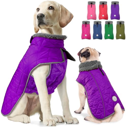 Fragralley Hundemantel, warmer Hunde-Wintermantel mit Beingurt, wasserdicht und reflektierend, für kaltes Wetter, mit Loch für Geschirr, Schnee-Jacke für kleine, mittelgroße und große Welpen von Fragralley