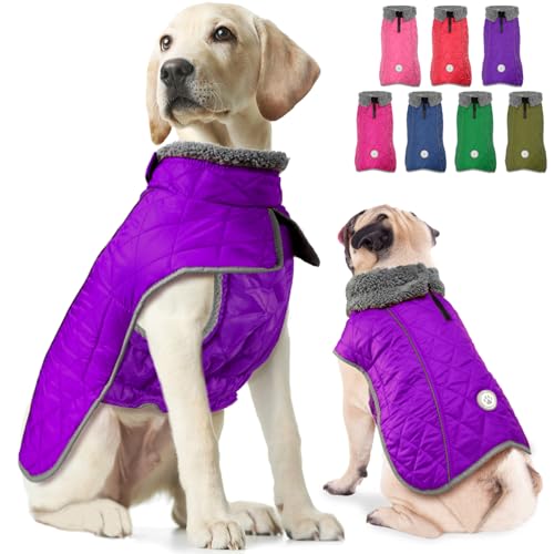 Fragralley Hundemantel, Warmer Hunde-Wintermantel mit Beingurt, wasserdichte & reflektierende Hundemäntel für kaltes Wetter mit Geschirrloch, Hunde-Schneejacke Weste für kleine, mittelgroße und große von Fragralley