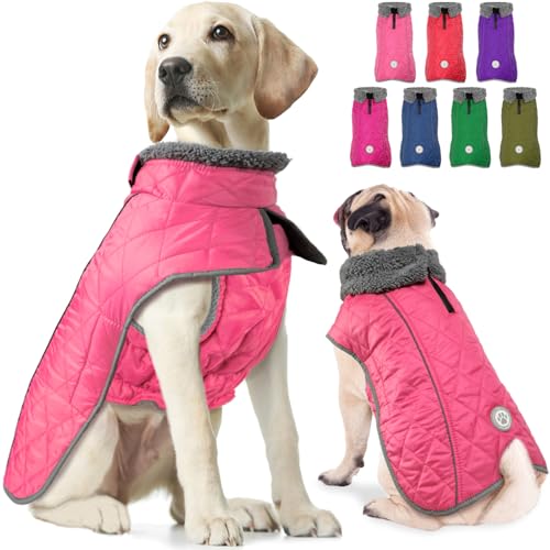 Fragralley Hundemantel, warmer Hunde-Wintermantel mit Beingurt, wasserdicht und reflektierend, für kaltes Wetter, mit Loch für Geschirr, Schnee-Jacke für kleine, mittelgroße und große Welpen von Fragralley