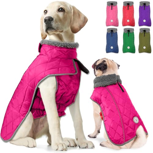 Fragralley Hundemantel, wasserdicht, winddicht, reflektierender Hundemantel für kaltes Wetter, mit Loch für Geschirr, warme Fleece-Jacke für kleine, mittelgroße und große Welpen, ideales Geschenk für von Fragralley