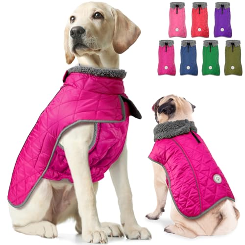 Fragralley Hundemantel, wasserdicht, winddicht, reflektierender Hundemantel für kaltes Wetter, mit Loch für Geschirr, warme Fleece-Jacke für kleine, mittelgroße und große Welpen, ideales Geschenk für von Fragralley