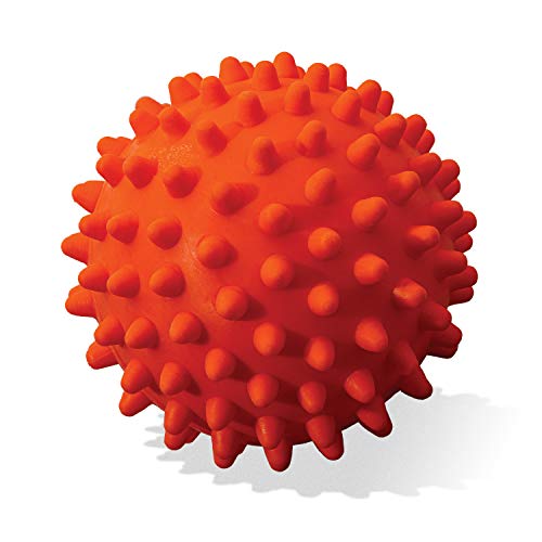 Franklin Sports Ready Set Fetch All Weather Ball - Launcher Ball - Slobber and Water Resistant von Franklin Sports