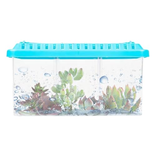 Betta-Aquarium | Klares Desktop-Fischaquarium | Kleine Fischschalen-Teiler | Aquarium mit mehreren Fächern, Starter-Set für Zieraquarien, Betta-Aquarium mit herausnehmbaren Trennwänden, kleines Aquari von Fravsiu