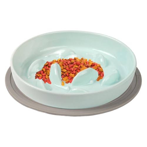 Cat Food Bowl Slow Feed, Cat Slow Food Feeder, Slow Feed Cat Bowl, Pet Slow Food Bowl, Slow Feeding Cat Food Bowl Cat Food Bowl Slow Feed for Cats and Small Dogs Feeding von Fravsiu