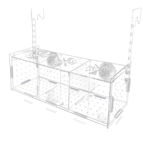 Fravsiu Fish Breeding Box, Aquarium Breeding Box, Breeding Tanks for Fish, Acrylic Clear Breeder Box, Aquarium Breeder Box, Multifunctional Fish Incubator, Non-Slip Breeder Box, for Guppy Shrimp Small von Fravsiu