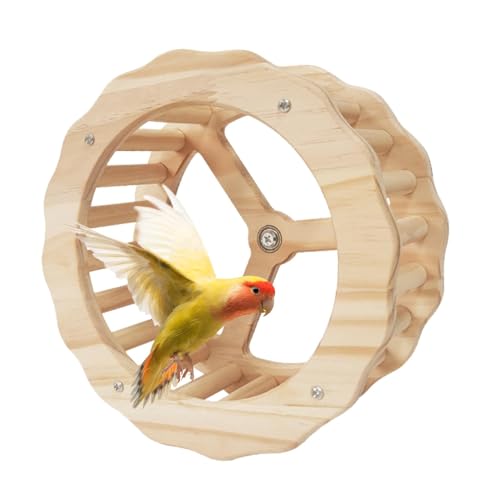 Interaktives Drehrad, Vogelspielzeug aus Holz, Zubehör für Conuri-Käfige, Übungsrad für Sittiche, Papageienkäfig Cockatiel Budgie Play Bird Übung Spinne von Fravsiu